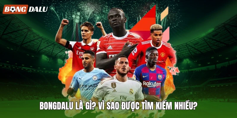 Bongdalu là gì? Vì sao được tìm kiếm nhiều